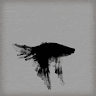Profile picture of @mia-carrow