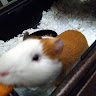 Profile picture of Kay