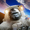 Profile picture of AntiDarii