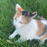 Profile picture of reddfortyy