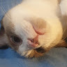 Profile picture of @juan-carlos