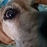 Profile picture of Cogotin777