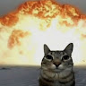 Profile picture of Perdi800cuentas