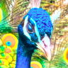 Profile picture of remytime0