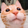 Profile picture of chudkat