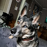 Profile picture of N-Dotty