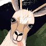 Profile picture of @jameson-roberts