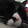 Profile picture of @enea