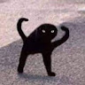 Profile picture of @full-moony