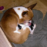 Profile picture of Diana
