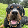 Profile picture of Jere
