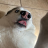 Profile picture of Fell0w