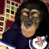 Profile picture of @adam-p