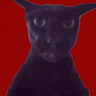 Profile picture of @lighting-queen