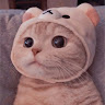 Profile picture of Putas59