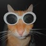 Profile picture of @steven