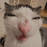 Profile picture of @damian-neighbors