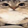 Profile picture of @sweaty-boy