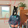 Profile picture of @martim-magalhaes
