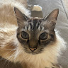 Profile picture of @mintyyy-mint