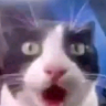 Profile photo of fearoftyrell