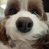 Profile picture of @jammerooski