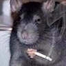 Profile picture of @gaspar-poblete-smokylarat