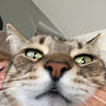 Profile picture of Beano