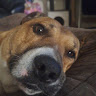 Profile picture of urbxxplora