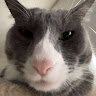 Profile picture of LaRamos7
