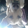 Profile picture of @quinten-malone