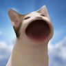Profile picture of Adi