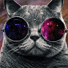 Profile picture of @maxime-pellin