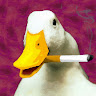 Profile picture of @matias-hernandez