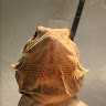 Profile picture of @jayden-butler