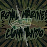 Profile picture of @royal-marine-commandos