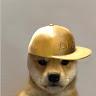 Profile photo of zavy