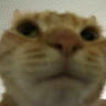 Profile picture of @rashod-darden