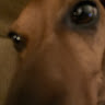 Profile picture of @john-paul