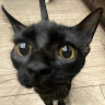 Profile picture of soy_lexiekkkj