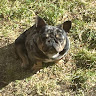 Profile photo of Yaress