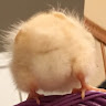 Profile picture of @threeloaves