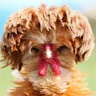 Profile picture of Errix