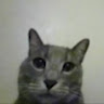 Profile picture of @abhinav-singh