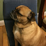 Profile picture of @sebastian-b.