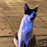 Profile picture of @mateo-medina