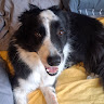 Profile picture of @olafur-fenrir
