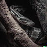 Profile picture of yLuck_
