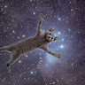 Profile picture of @meowlulu
