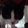 Profile picture of @stormy